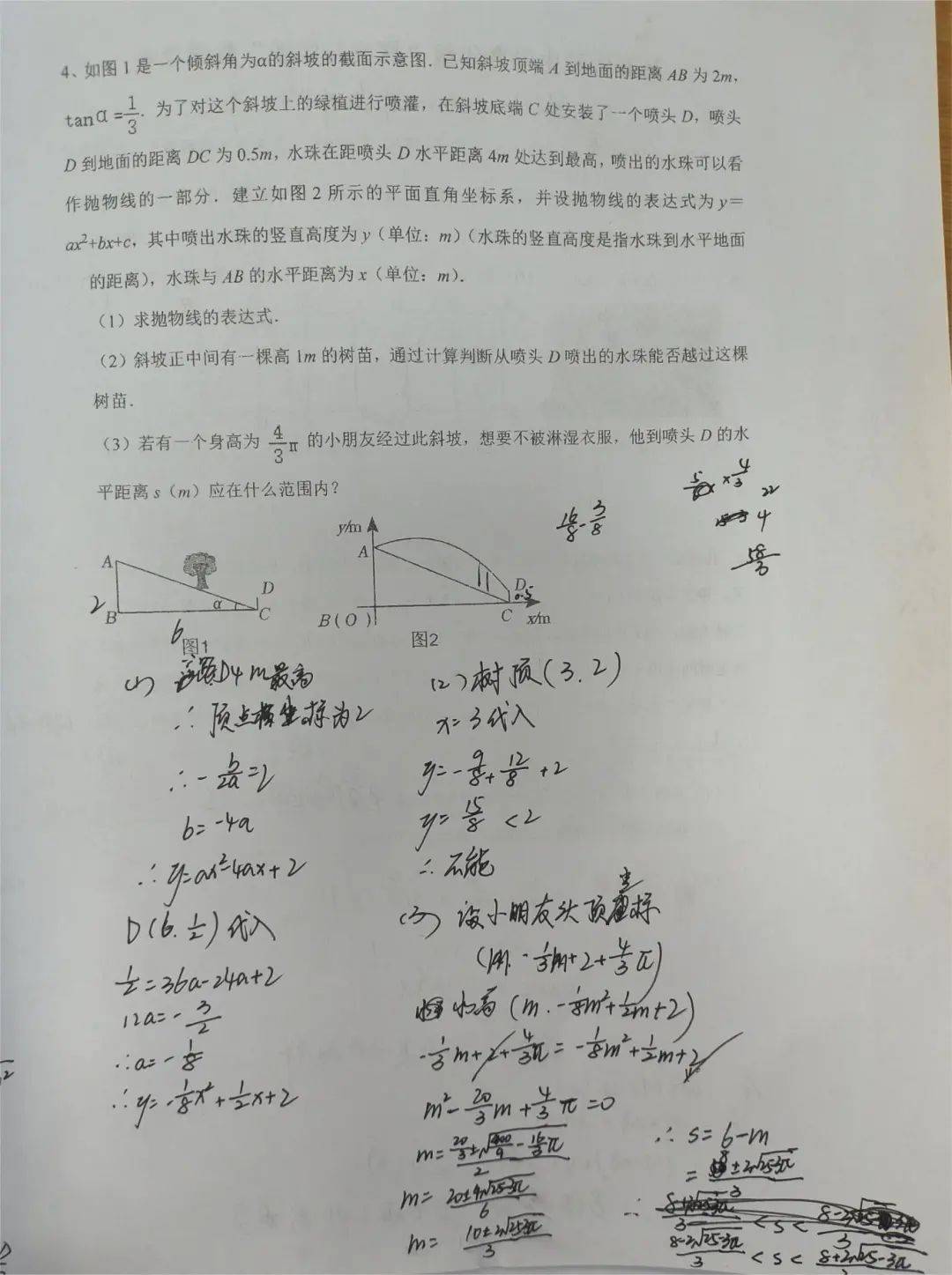 【金穗61数学竞赛】逐梦数学 竞展才华——记2023学年第二学期杨泰