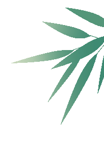 【两公布一提示】端午出行请"礼让"高考 这份出行攻略请收好_路段_仁