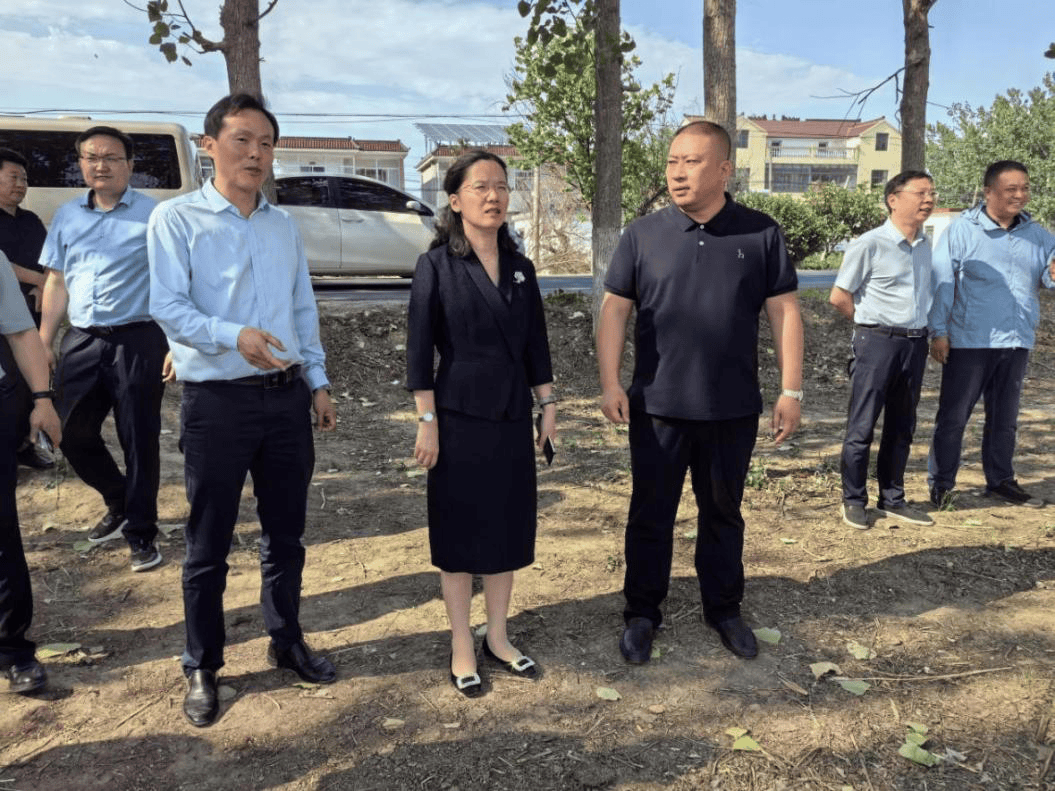 主官抓环保 | 灌云:县长曹明丽检查夏季秸秆综禁工作