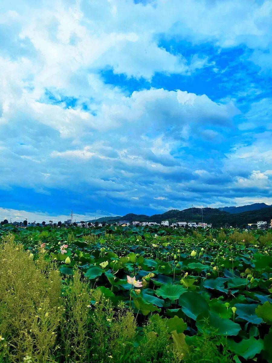 【已成团】6月21日出发|打卡广西浪漫七城