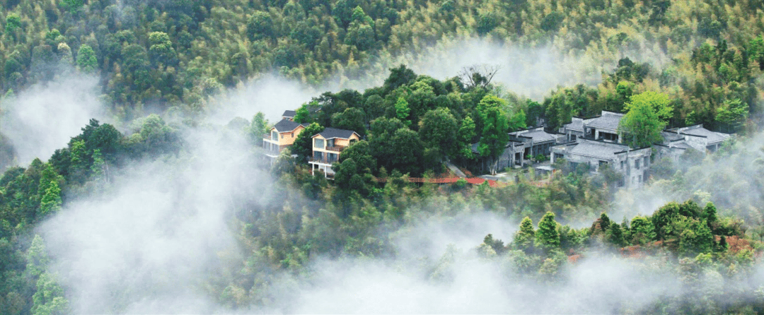 准考证_高考_门票