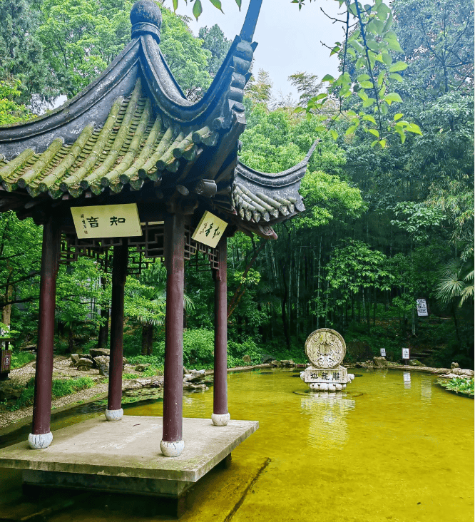 镇江文旅景区给全国中高考考生"送大礼"→_焦山_金山_南山