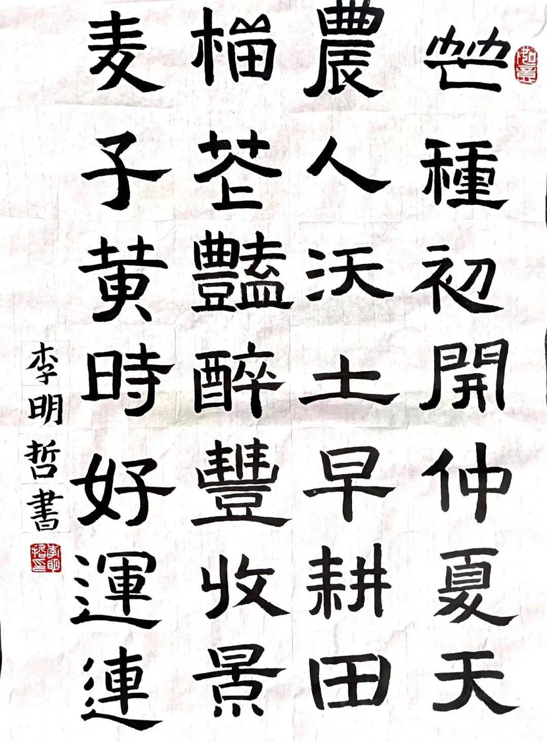 我们的节日——芒种