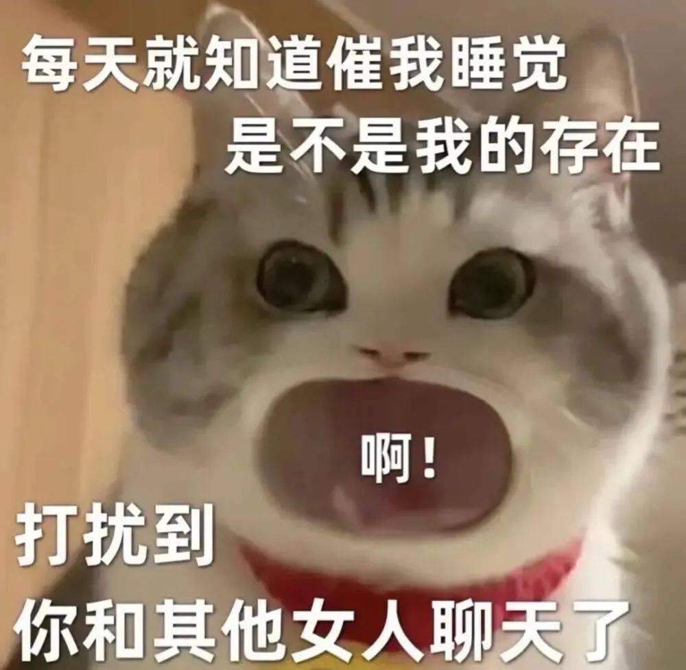 坐等端午,爱你呦丨第1012期喵表情包_猫咪_青年