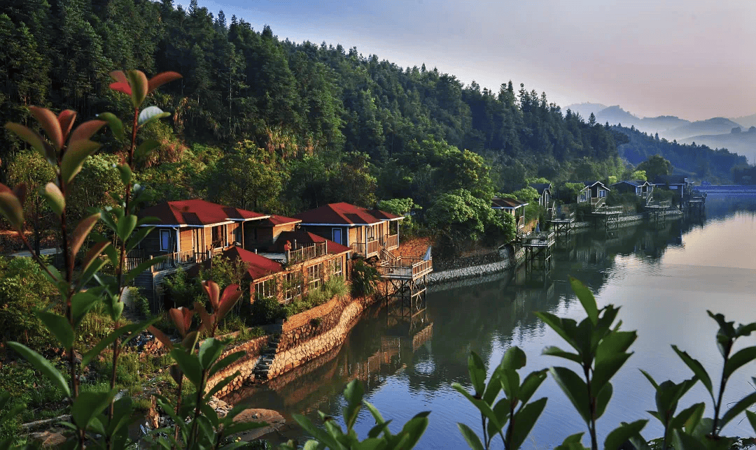 端午期间,三明有超多活动!龙舟赛,包粽子._地点_时间_沙县
