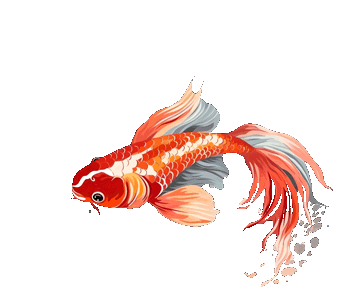 350_288gif 动态图 动图