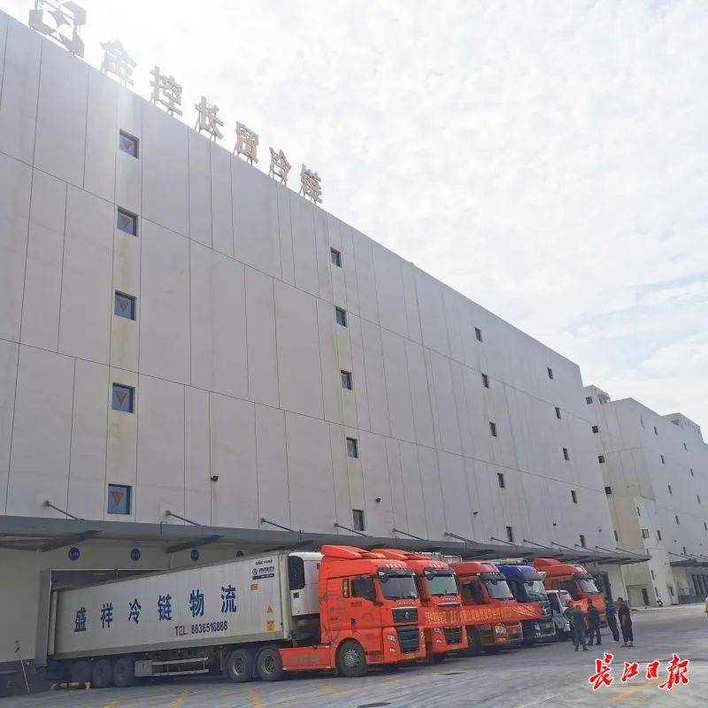 长江国际贸易集团有限公司建设的金控长贸国际冷链物流园在新洲区天