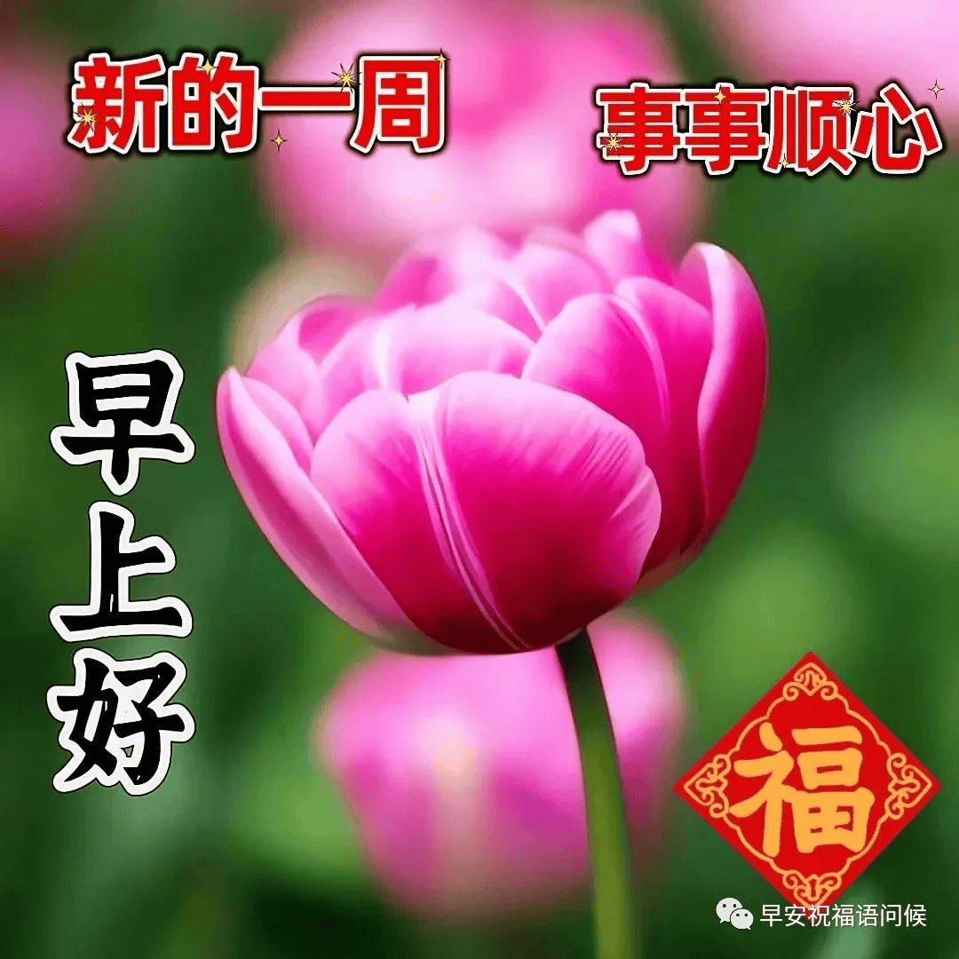 最新版早上好表情图片大全,浓情问候,夏日快乐!