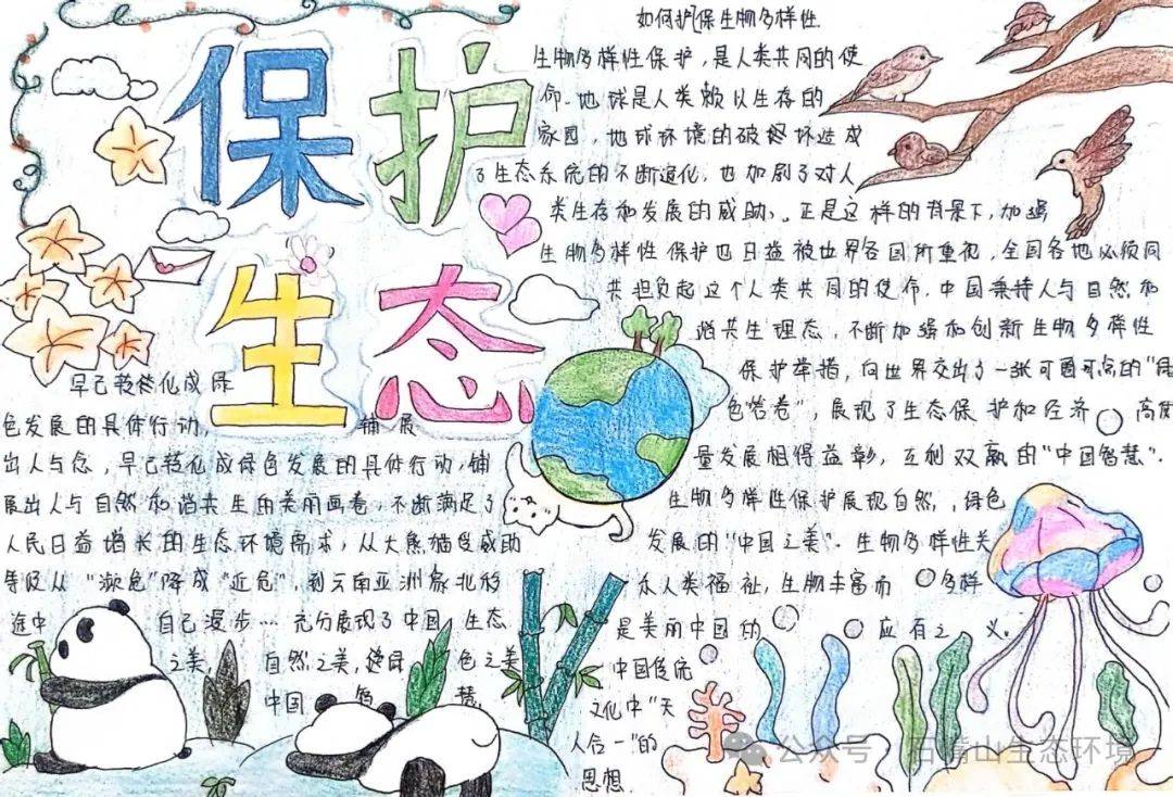 6·5世界环境日系列活动|创意作品展播(二)