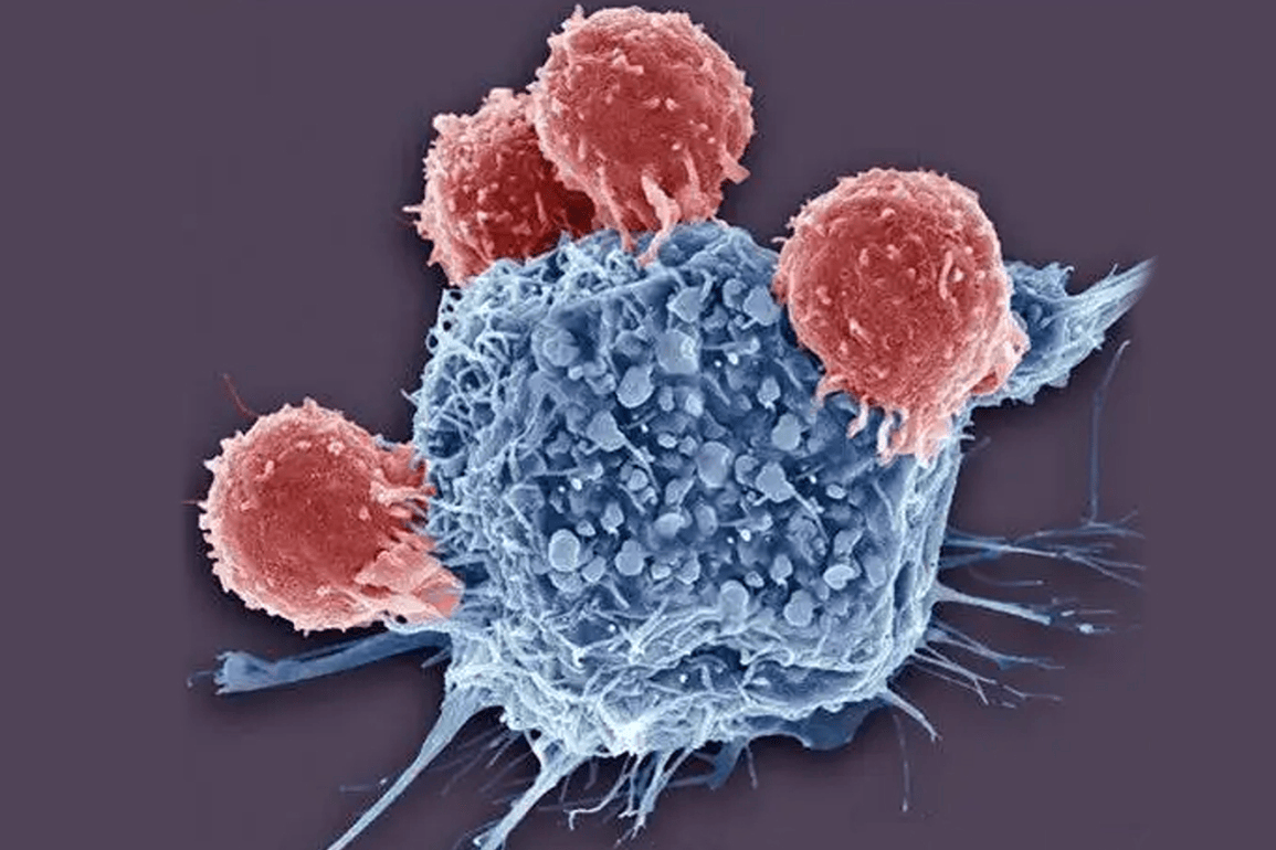 招募小记者|免疫力守护计划邀你探秘神奇的细胞"警察"