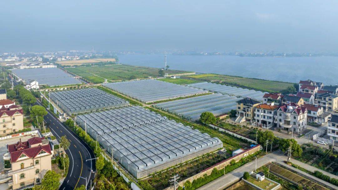 《苏州日报》头版聚焦!七都镇:真诚拼搏,聚起新时代"江村"蓬勃生机