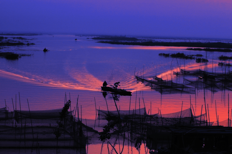 笔尖上的济宁 | 这个夏日,总要来一次微山湖吧