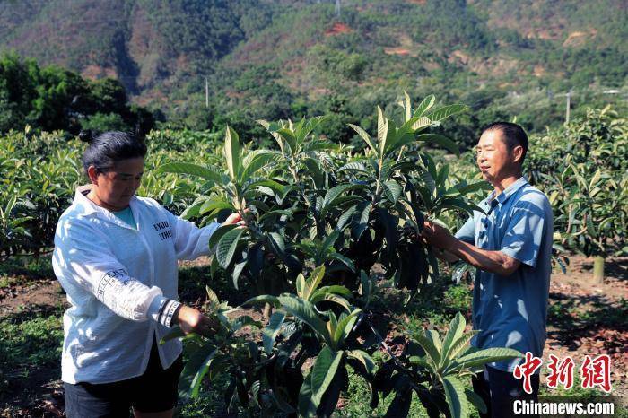 四川德昌:绘就民族地区乡村振兴和美画卷
