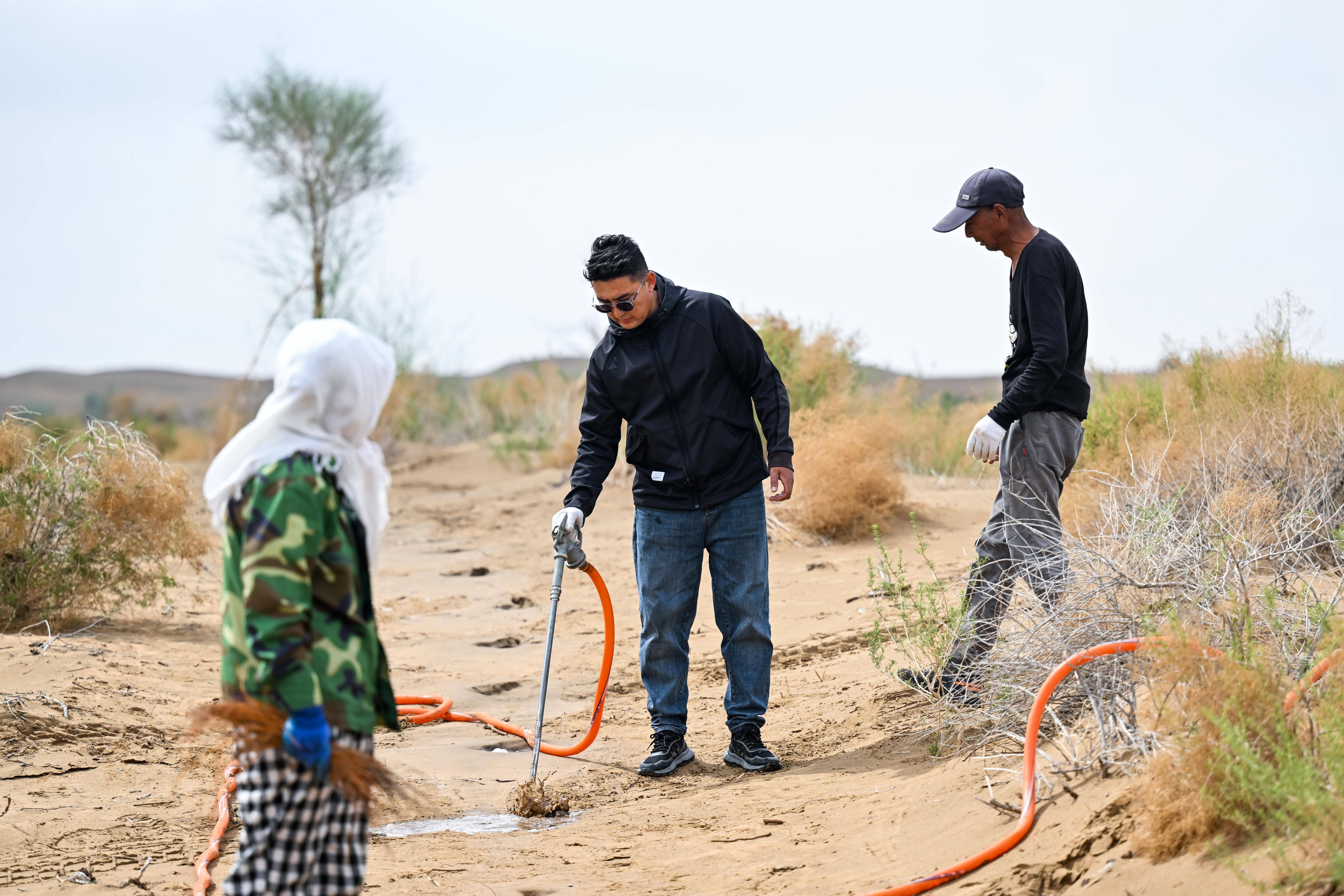 投身库布其沙漠治理至今2012年大学毕业后返乡"90后"牧民敖日格乐绿意