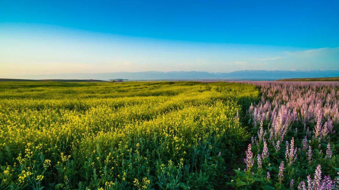 有人说:幸福就是得到了比你想要的更多的东西,昭苏让你得到的同时