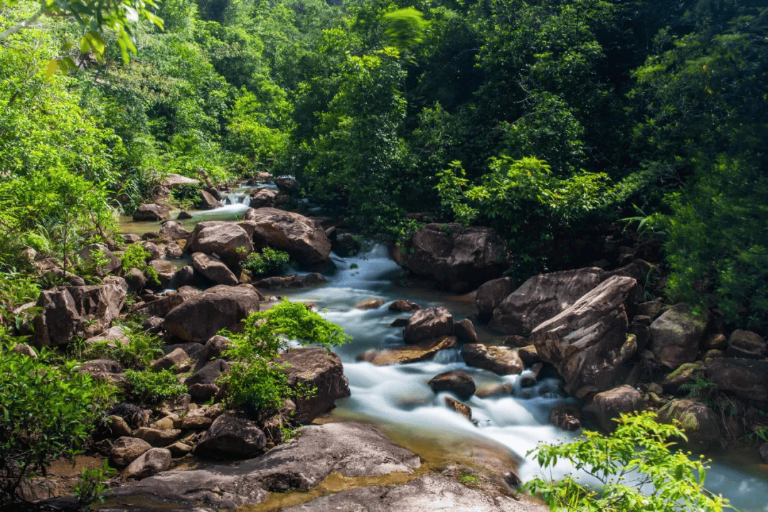 增城"百千万工程"列出今年任务单>2024-06-072140>发布于:>山西省>