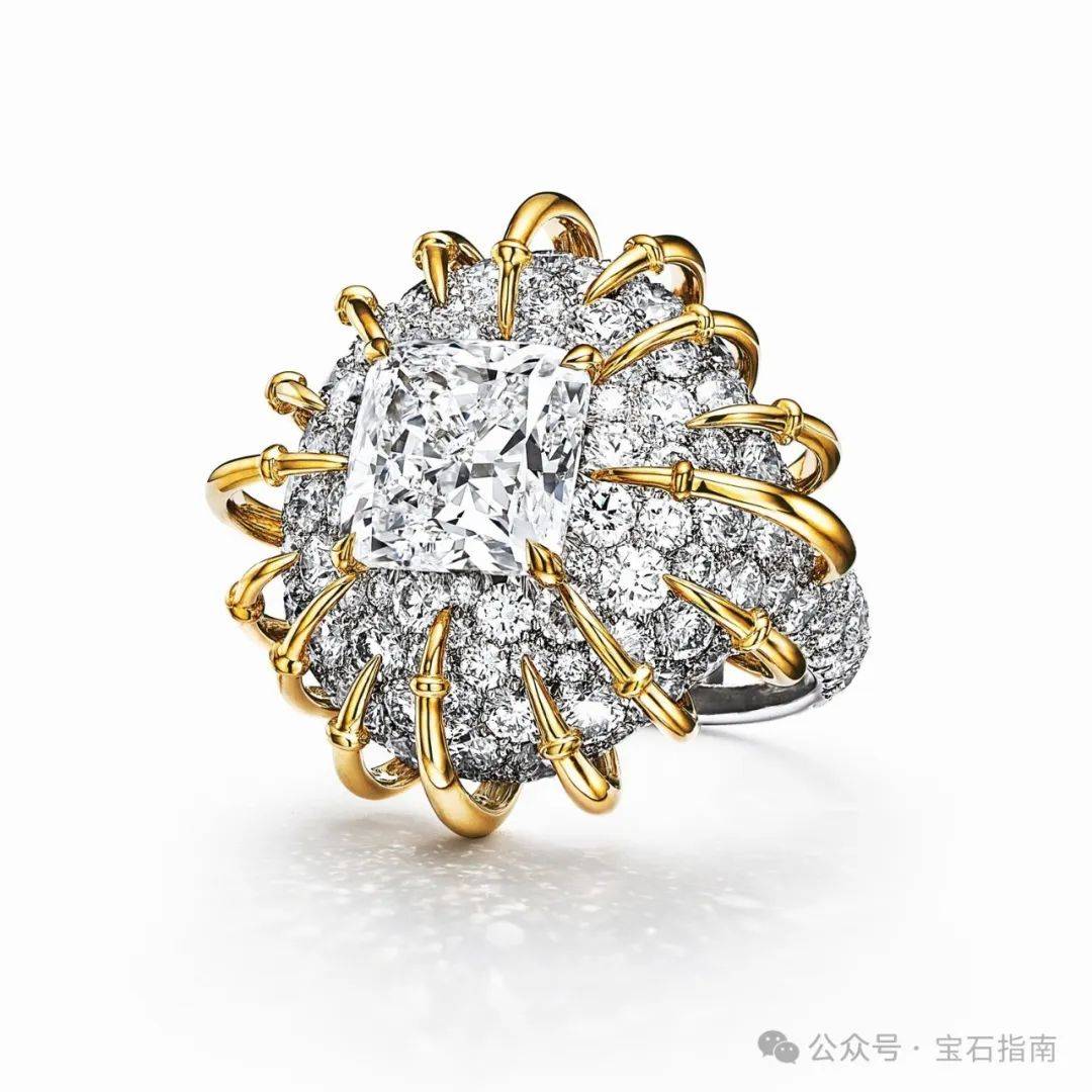 鉴赏|tiffany发布blue book 2024高级珠宝系列:太空之旅