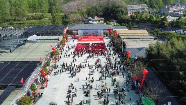 南阳市50家a级景区对2024年应届高考生,中考生免门票_赵显_桐柏_学子