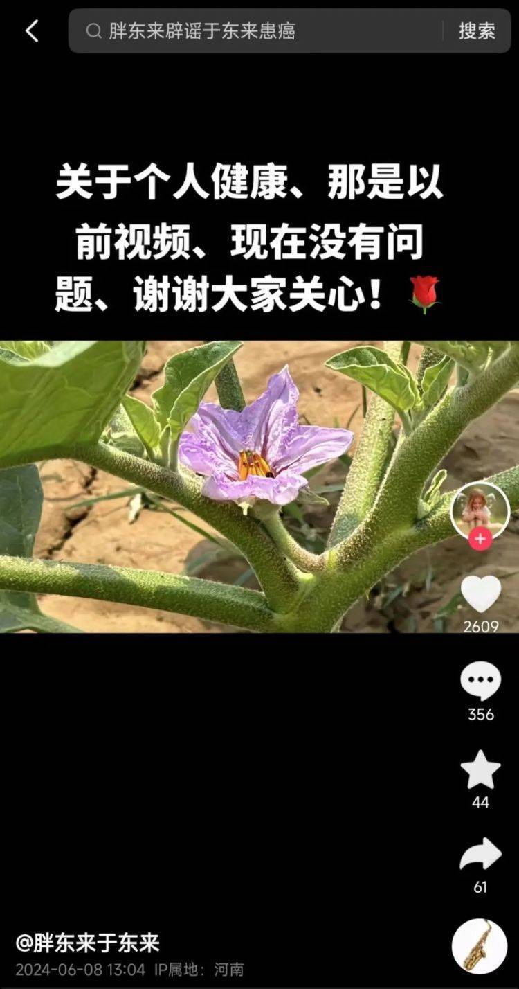 🌸晨视频【2024年澳门正版资料大全免费】|营养与口感双升级！揭秘蔓越莓、蓝莓、黑莓的健康秘密！  第2张