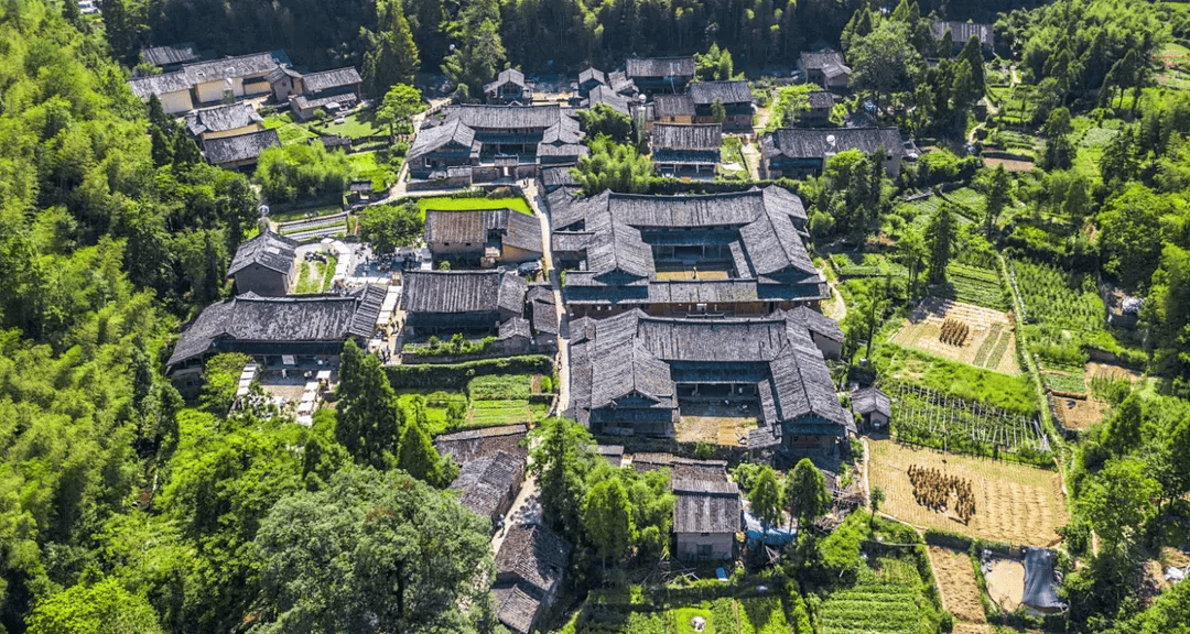 粽情山水间,端午一起去村游吗?