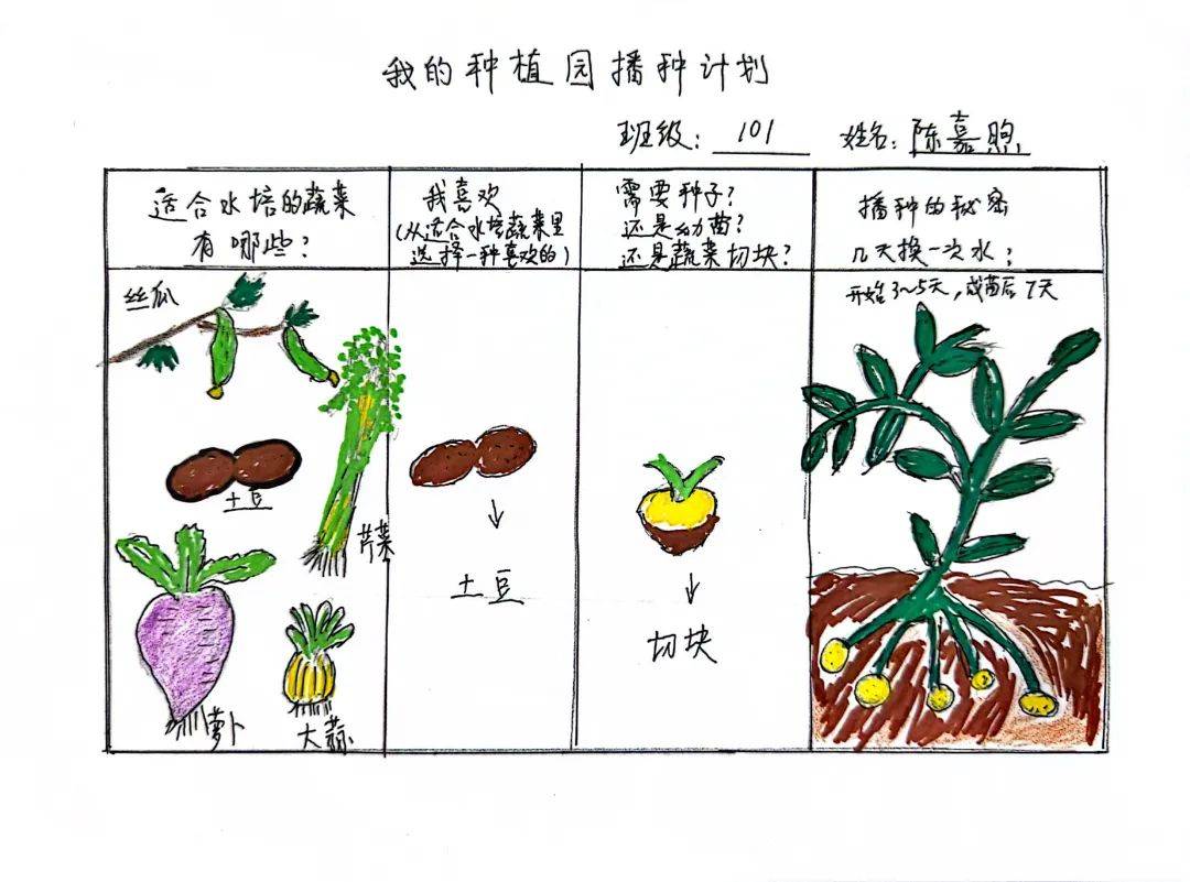 你又最想种植什么植物呢?