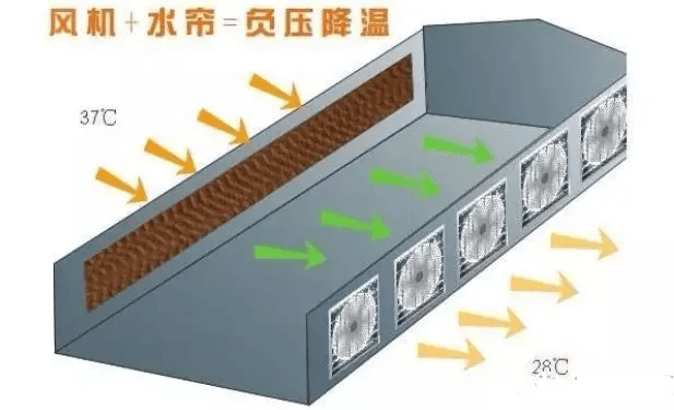 夏季水帘使用存在的多个误区_温度_空气_鸡舍