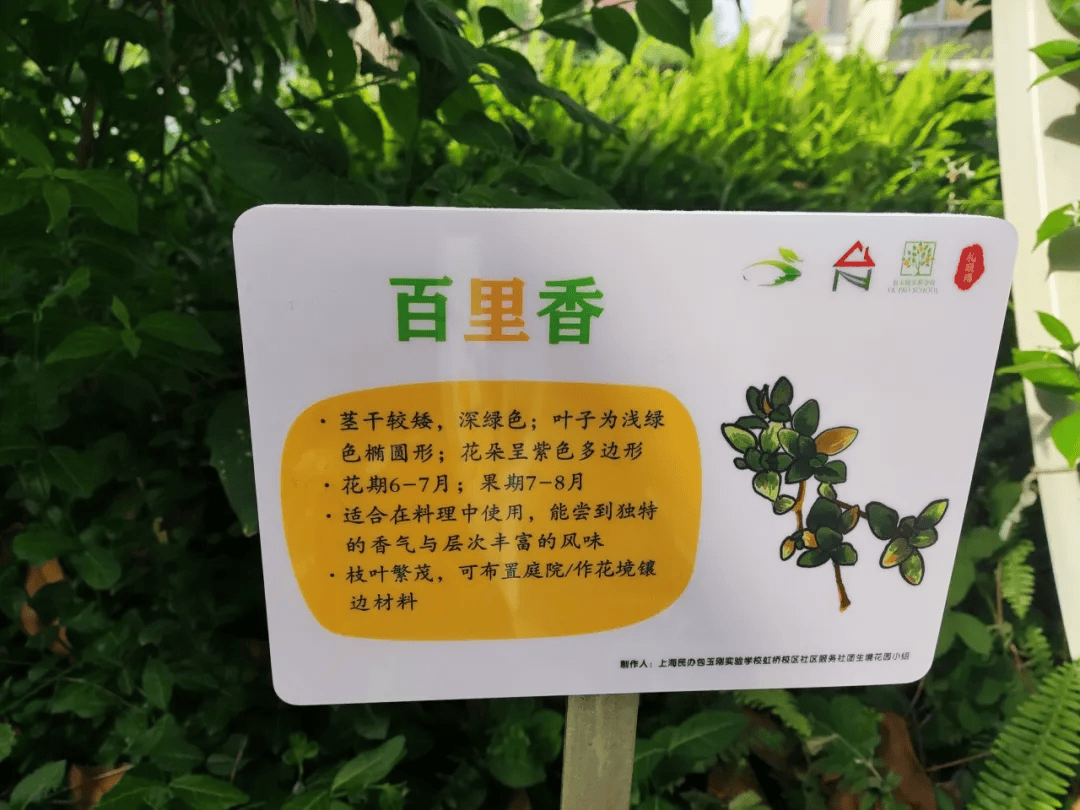 "社区营造达人 "之小小营造师系列迎来首场活动_花园_植物_包玉刚