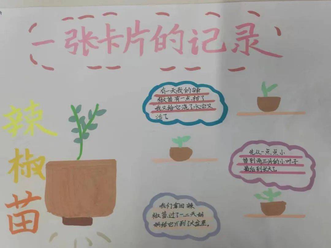 【红岩劳动】一张卡片的记录——红岩小学校远程种植系列活动