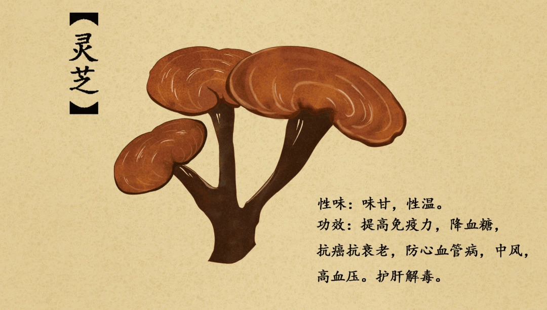 2024小兴安岭亲子夏令营 | 森林漂流 森林骑士 寻蜜之旅 灵芝采摘