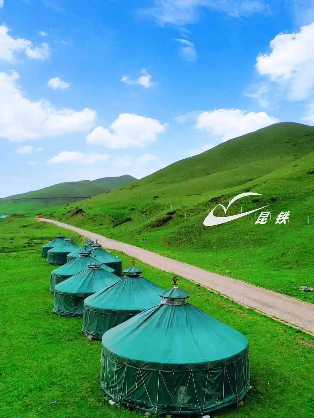 漫步在高山草甸之上小溪如带泉水清澈绿草茵茵山花烂漫