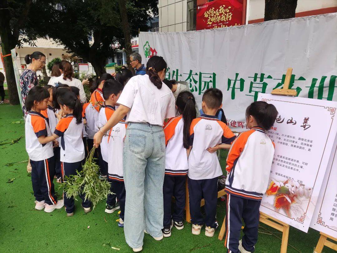 拣鲜花,择艾草,裹麻布,系彩绳莆院学子们于莆田市实验小学开展端午节