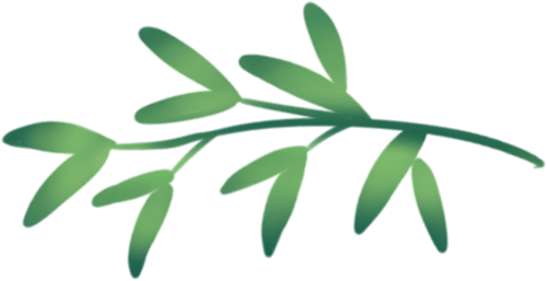 "多彩端午,乐在其粽"——卡松科技组织开展端午节活动