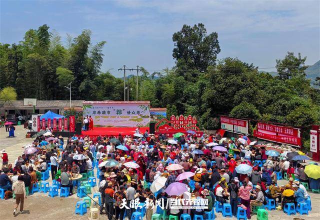「高质量发展调研行」赤水葫市镇:从t台走秀到包粽子大赛 这个端午