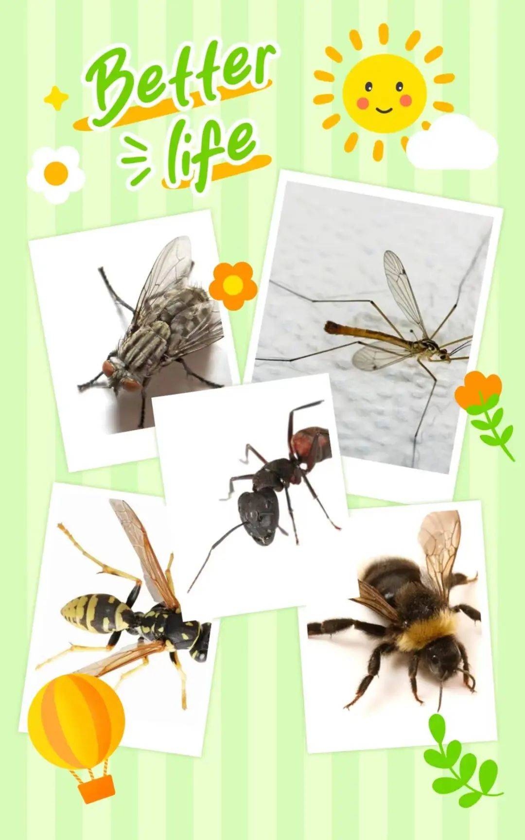 【优秀园所课例展示】河南省郑州市尚然华庭幼儿园