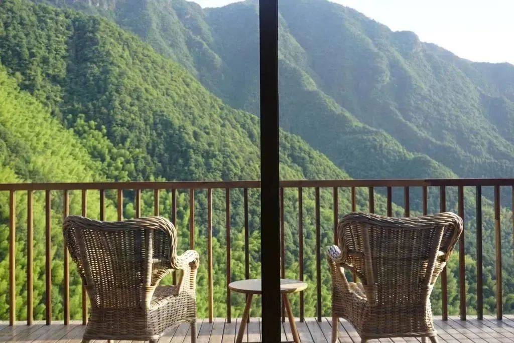 原舍·揽树山房:松阳体量最大的民宿疗休养接待点