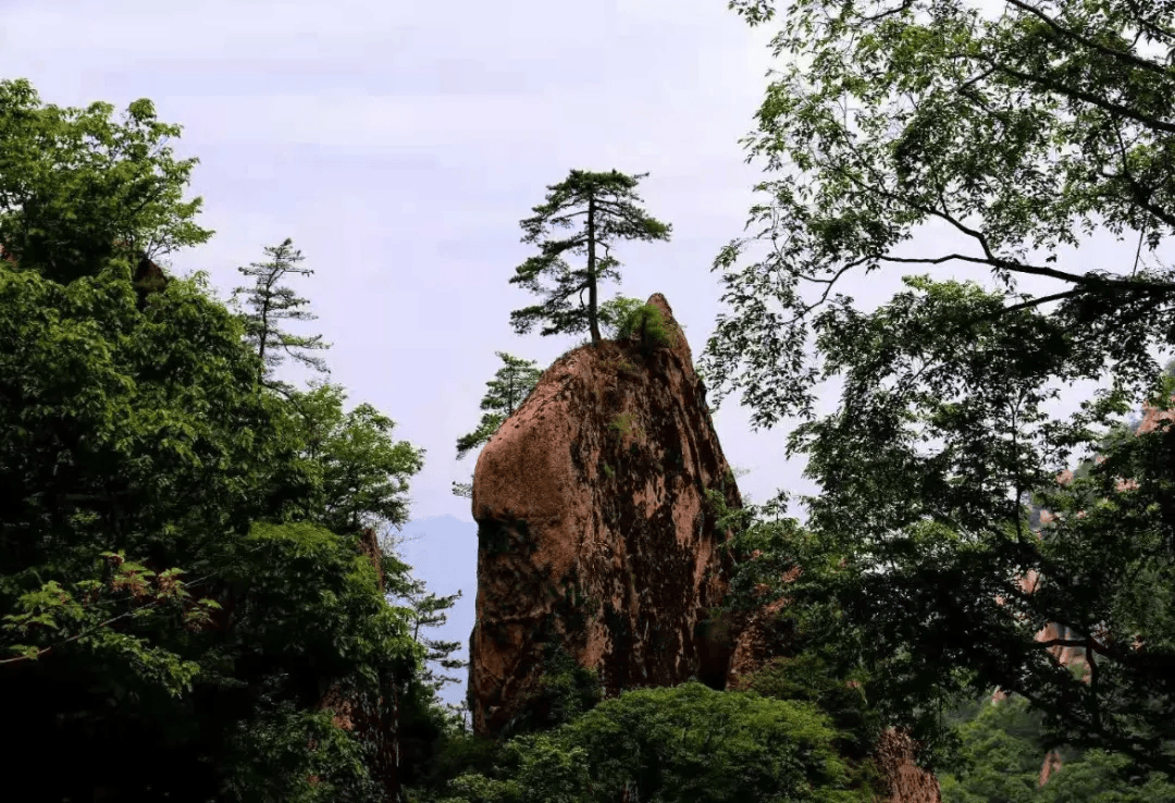 栾川天河大峡谷优惠再升级,免门票,免索道……_景区_游客_中州