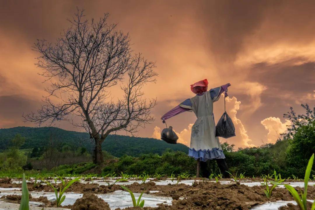 『文艺动态』瞬间艺术谱写的光影之歌——第一届甘肃现代摄影艺术展