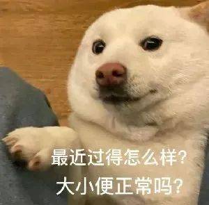 微信热门表情包:我很纯洁的