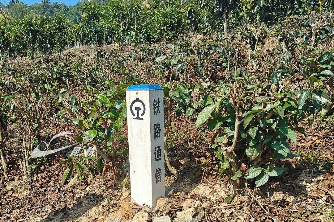 直埋敷设,沟槽敷设通信光缆通常有将对铁路运输安全秩序造成影响如果