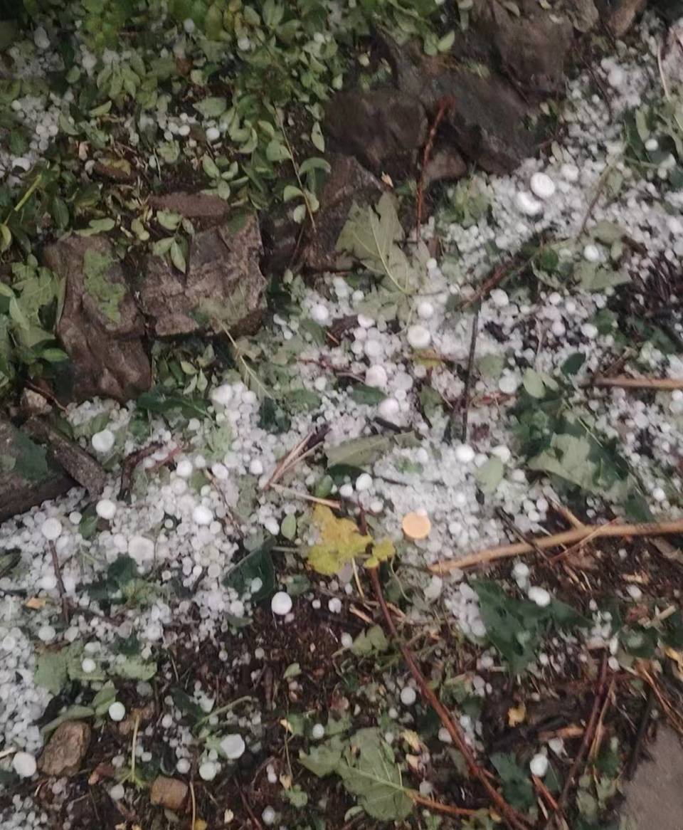 壹点图集丨鸡蛋大的冰雹!未来几日淄博雷阵雨天气还将继续