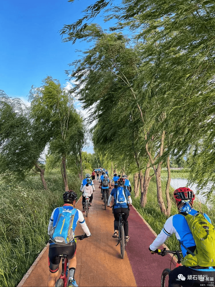 给阳朔骑友推荐的云南骑游线路!