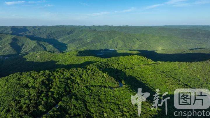 甘肃庆阳:苍翠子午岭