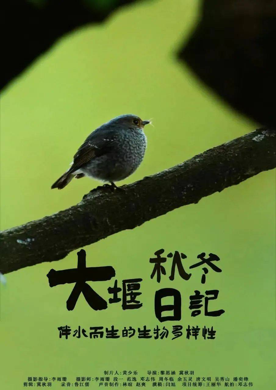 活动预告|纪录影像论坛第258期《看见昆明》《大堰秋