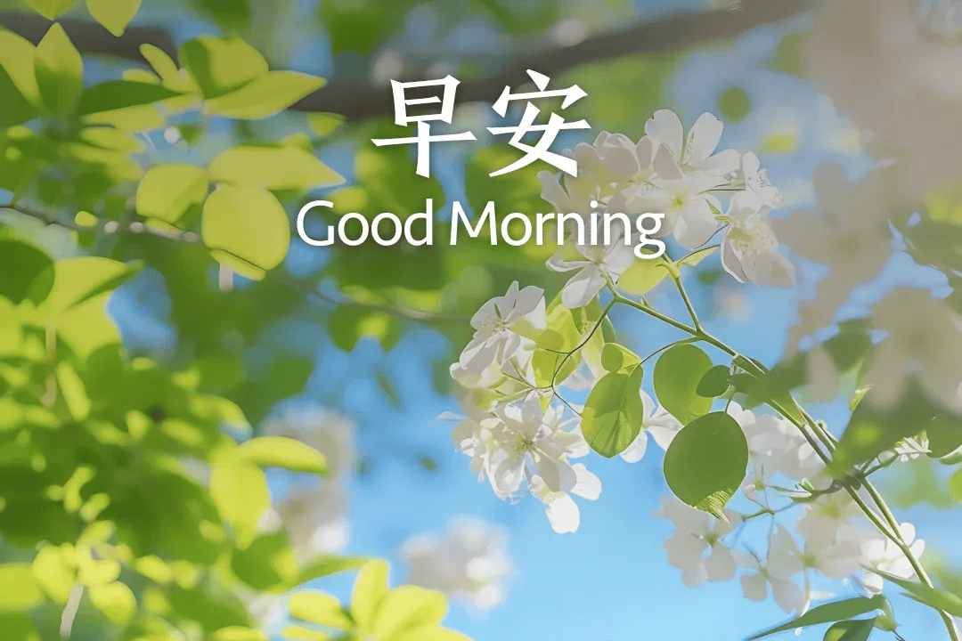 good morning 图片壁纸图片