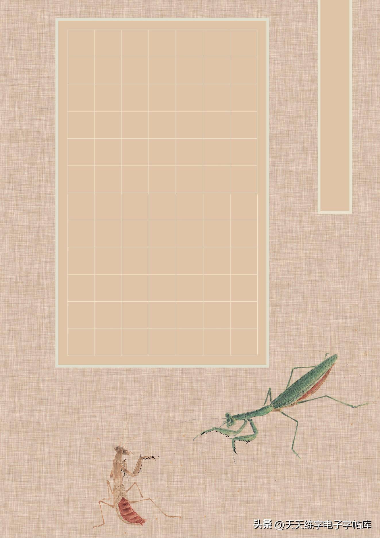 这73张作品纸够你练几年了吧?
