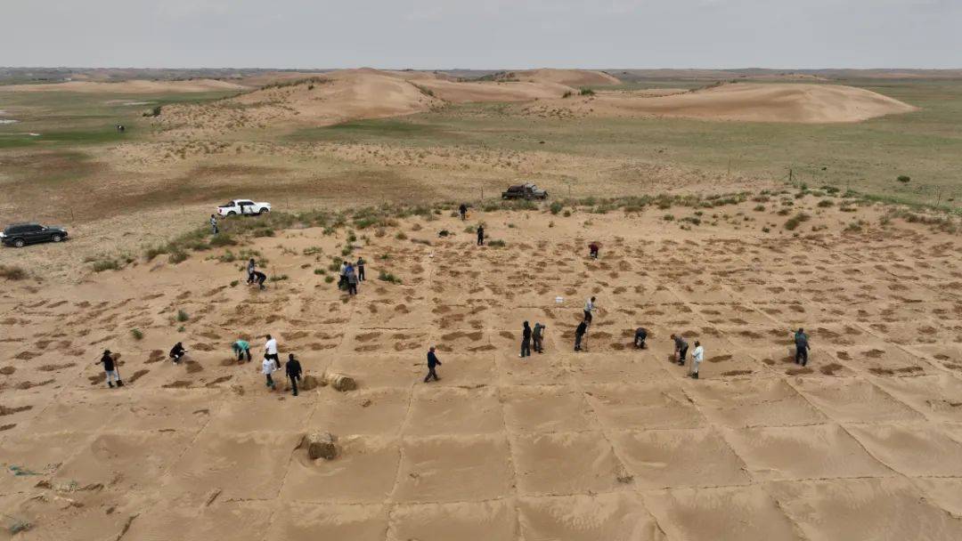 东苏旗牧民阿迪雅和牧民志愿者"扮绿"浑善达克沙地