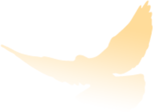 青岛宁安路小学艺海合唱团在2024年青岛市第三十四