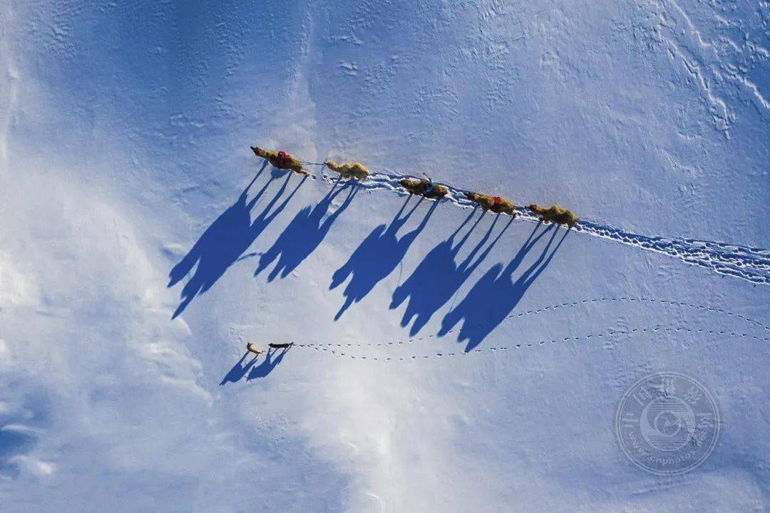 揭晓 | 2024年塞浦路斯国际摄影展(彩色组)获奖作品