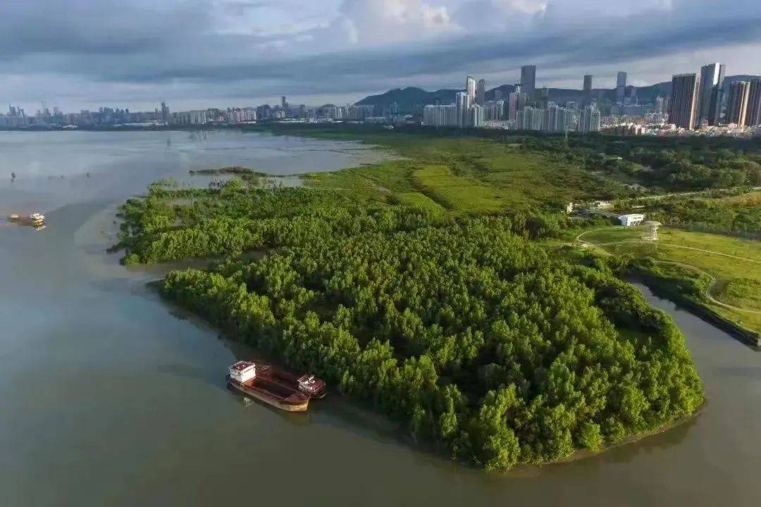 背后的故事:长寿商会：探寻数百年历史沉淀，领略多元文化魅力