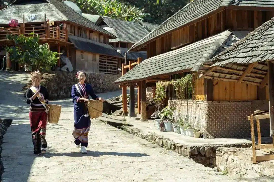 从澜沧拉祜族自治县惠民镇的景迈山遗产展示中心出发,途经景迈大寨